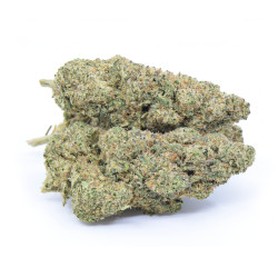 Plutonium 0.3 Indoor