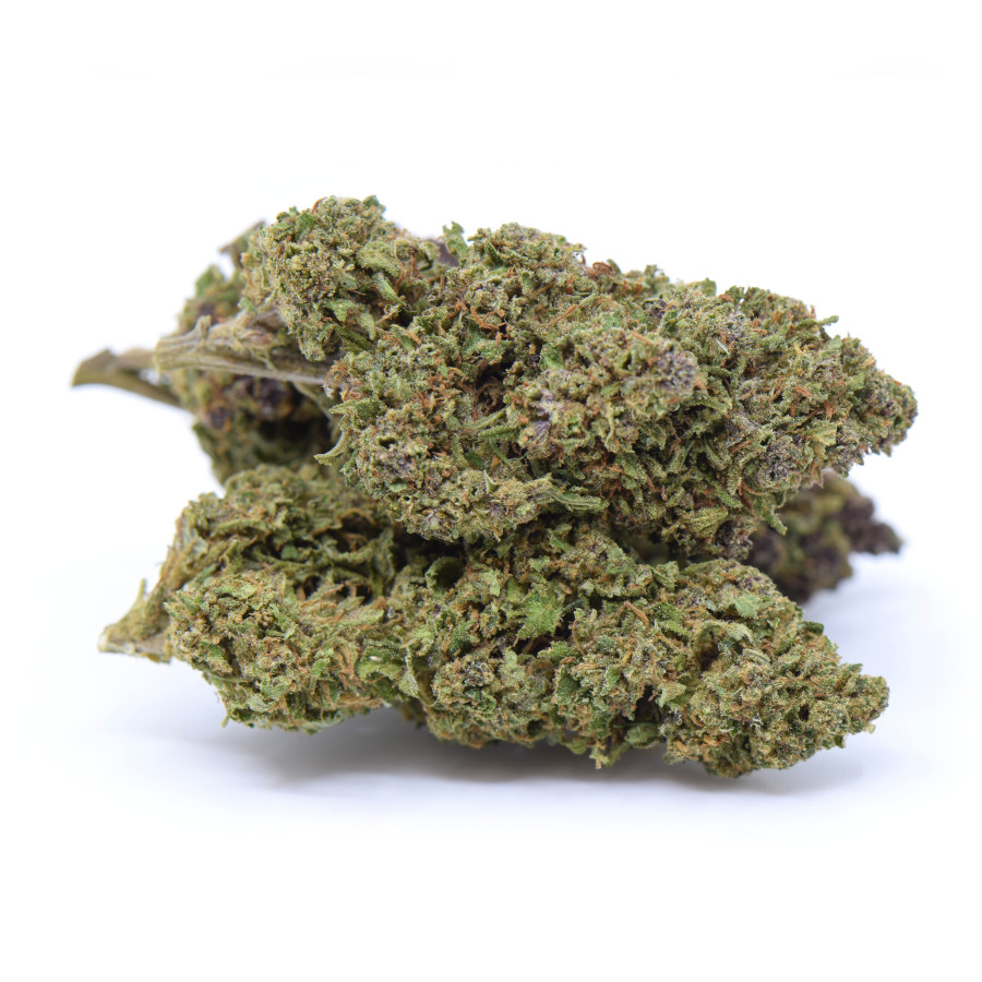 Orange Fritter 0.3 HL